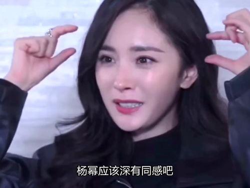 最近爆火的明星网红,揭秘近期爆火明星网红的崛起之路