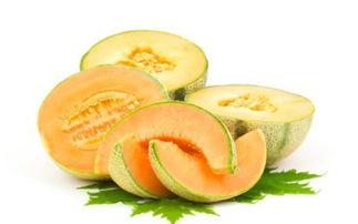 视野哈密瓜今日比分