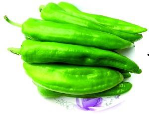 瓜州今日蔬菜价格,新鲜直供，实惠之选